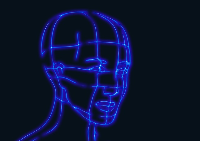 head-625666_640